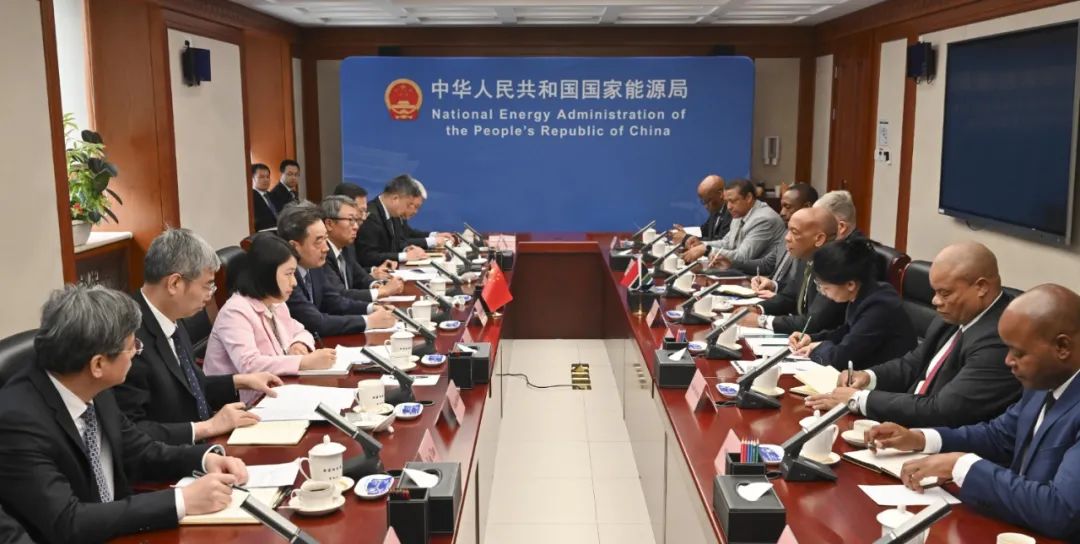 国家能源局主要负责人会见南非电力和能源部部长