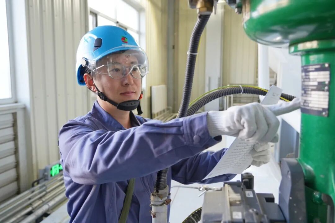 1763341138866080.jpg 6400.jpg