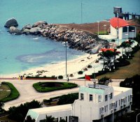 央企在行动：中国广东核电集团积极探索走新路