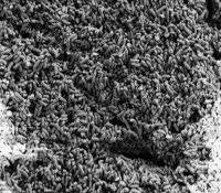 核电新科技：如何安全处理核废料