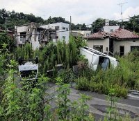 福岛核泄露过去四年了 现在的样子如同世界末日