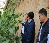 国家电投余剑锋到延川调研国家核电扶贫工作