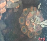 日本福岛第一核电站3号机组外的&ldquo;石棺&rdquo;封堆开建