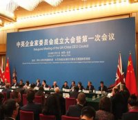 15家中国企业通过英国资格预审，有望参与英国核电项目